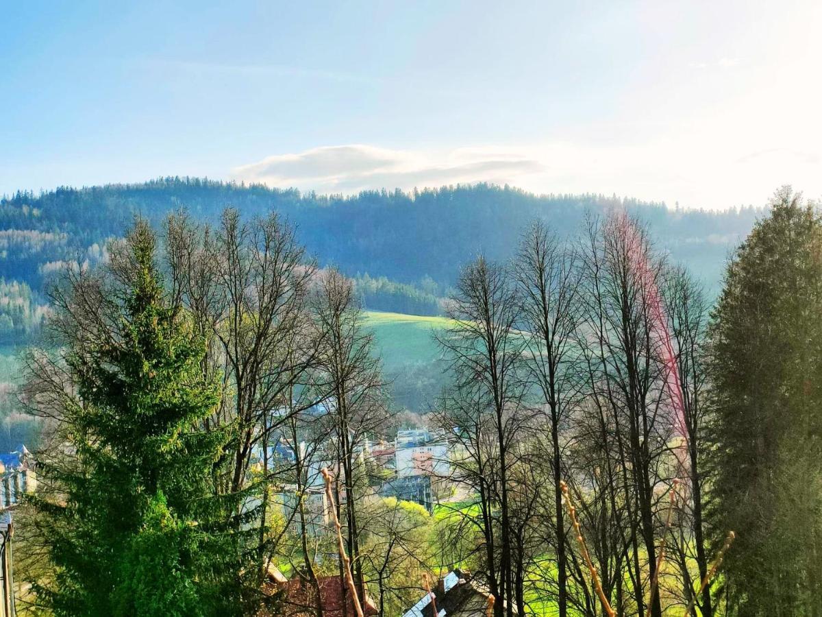 Czarna Owca Otel Wisła Dış mekan fotoğraf
